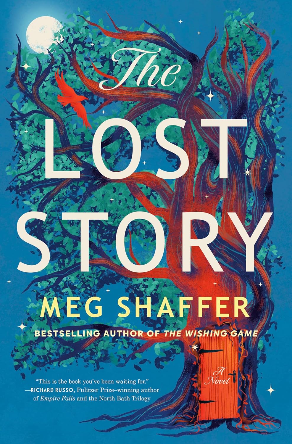 Cover for The Lost Story