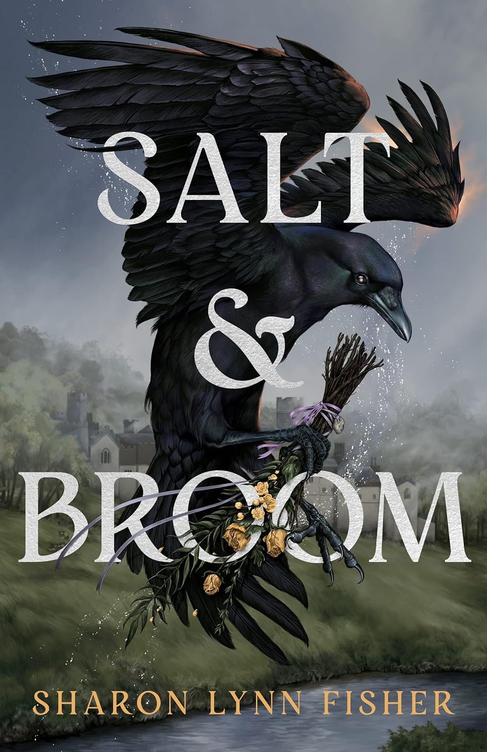 Cover for Salt &amp; Broom